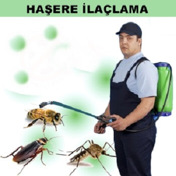 Demirözü Böcek İlaçlama